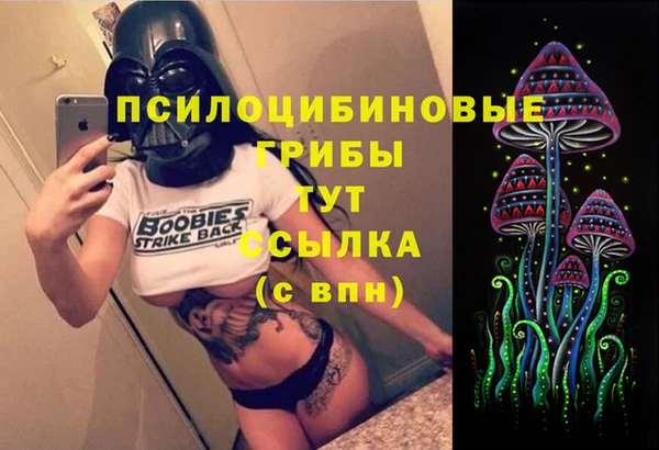 сатива Елизово