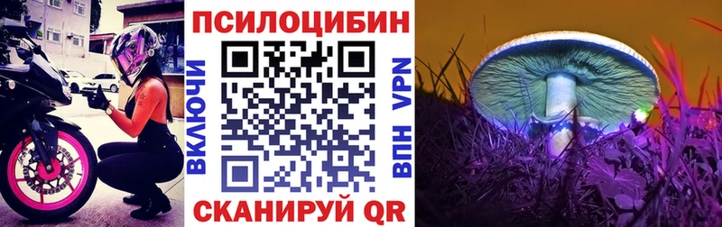 где купить наркоту  Чулым  Псилоцибиновые грибы мицелий 